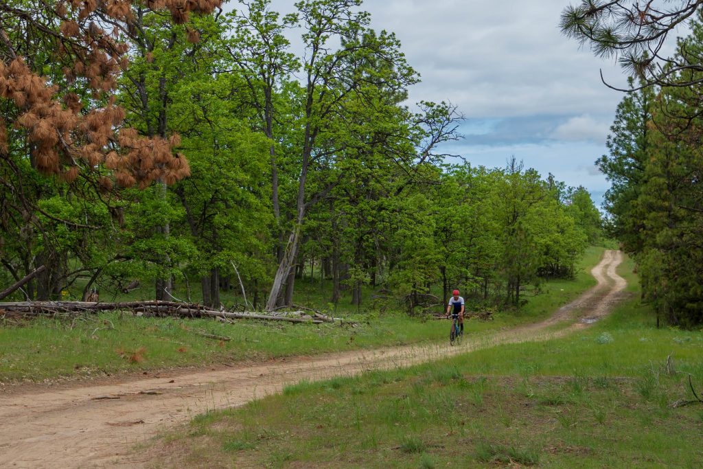 2022 GRAVEL Ride Guide Cycle Oregon