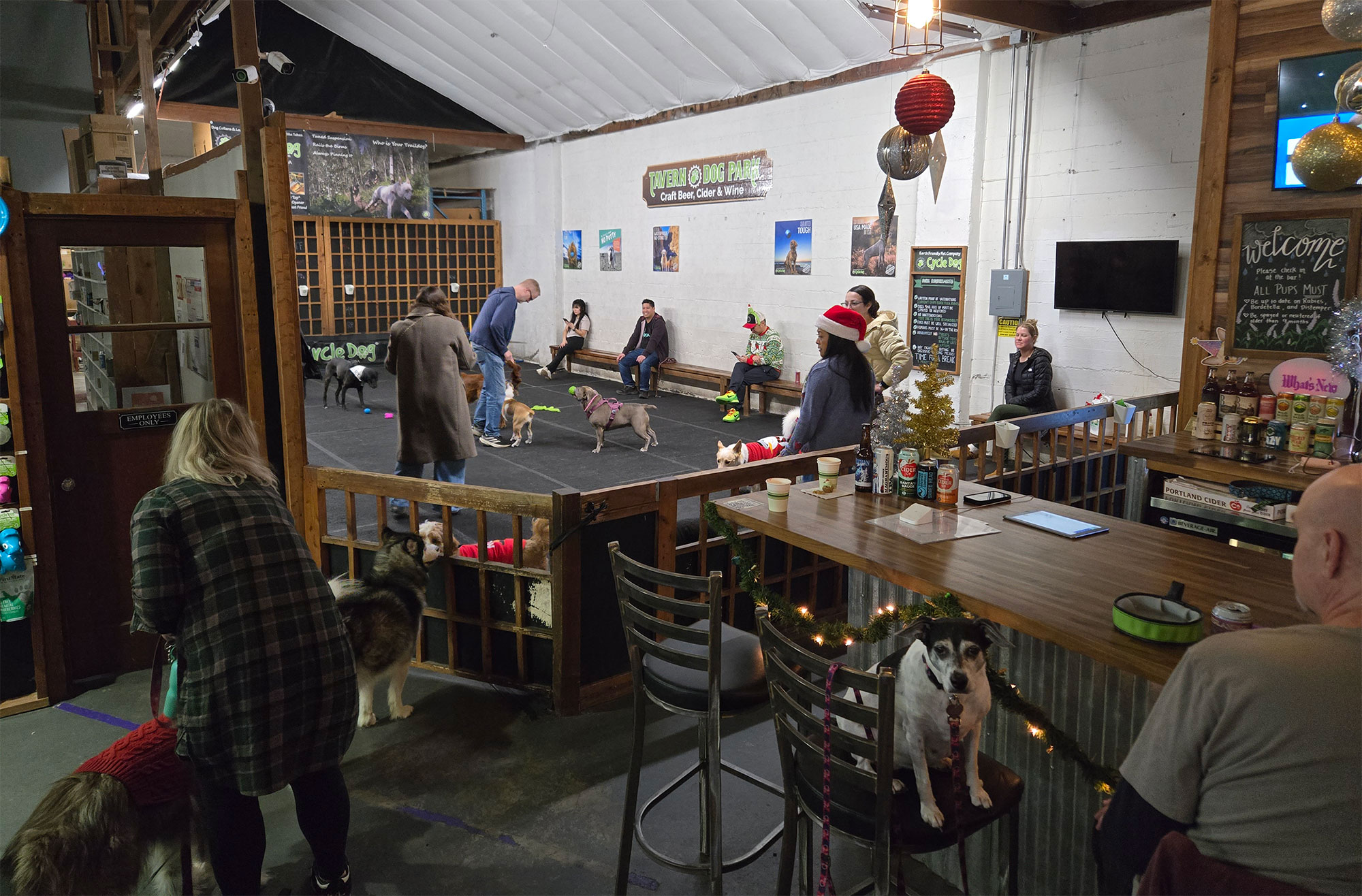 Cycle Dog - An Oregon Company – Cycle Oregon